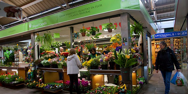 New Collection of Artificial Flowers in Floristería Miquel Capellà