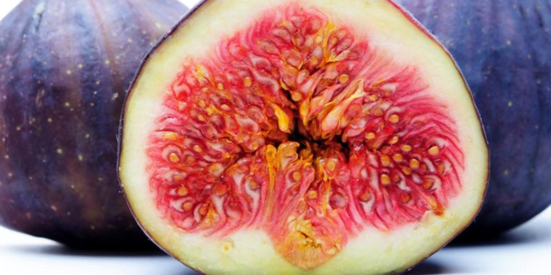 میوه های مضر برای دیابت و قند خون + جدول قند میوه ها